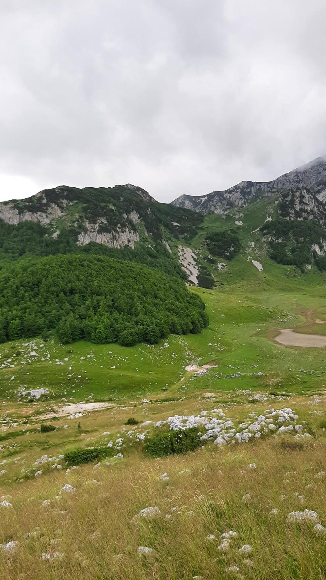 Apartments Durmitor Žabljak Екстериор снимка