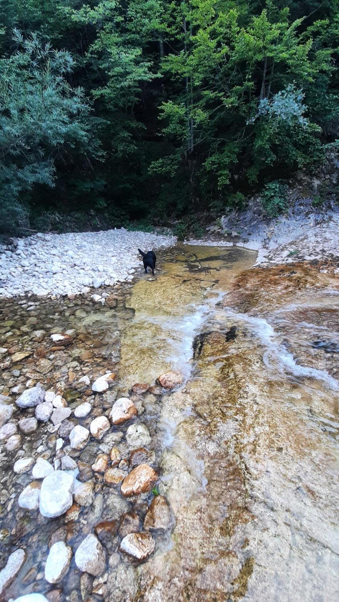 Apartments Durmitor Žabljak Екстериор снимка