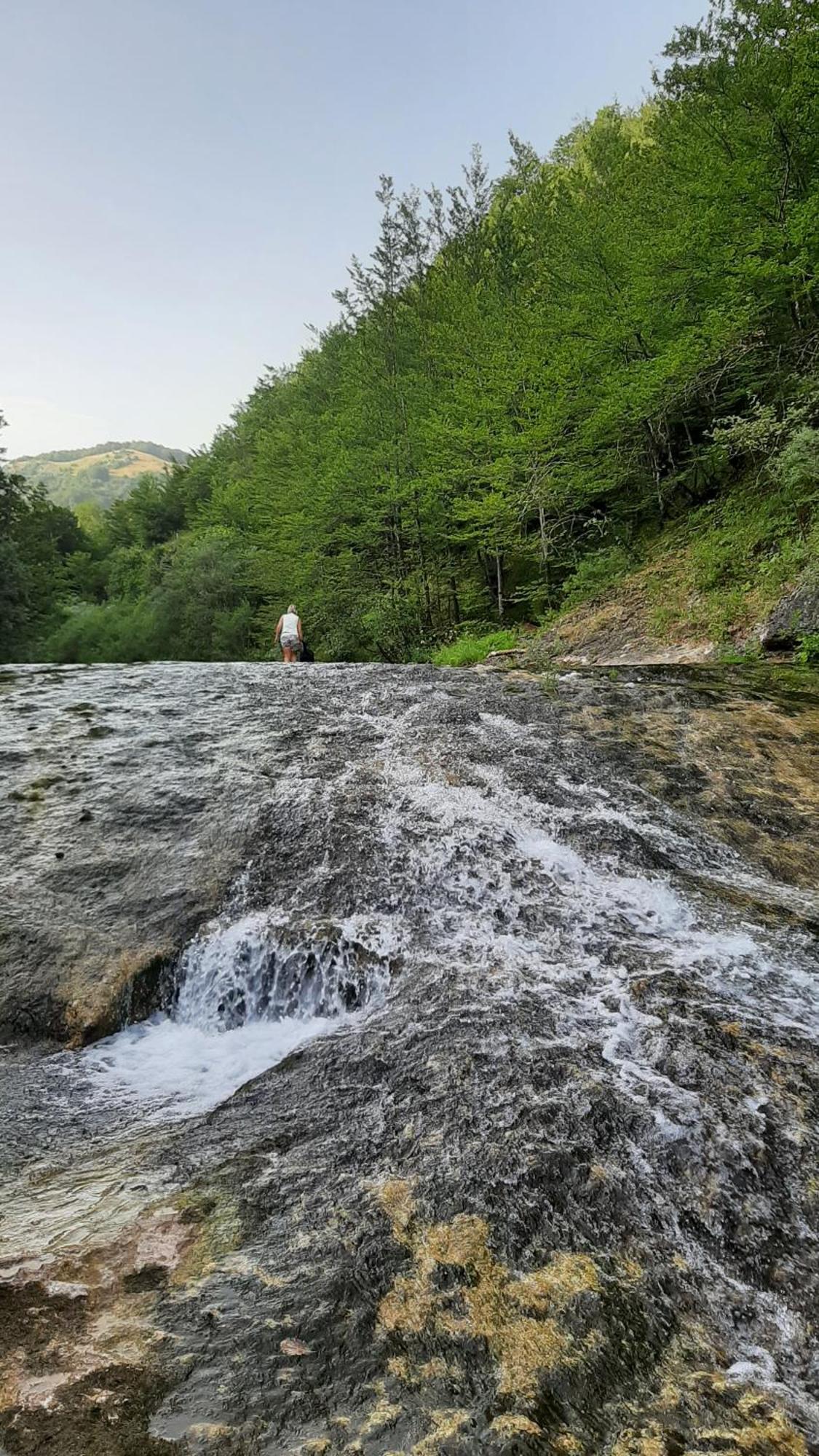 Apartments Durmitor Žabljak Екстериор снимка