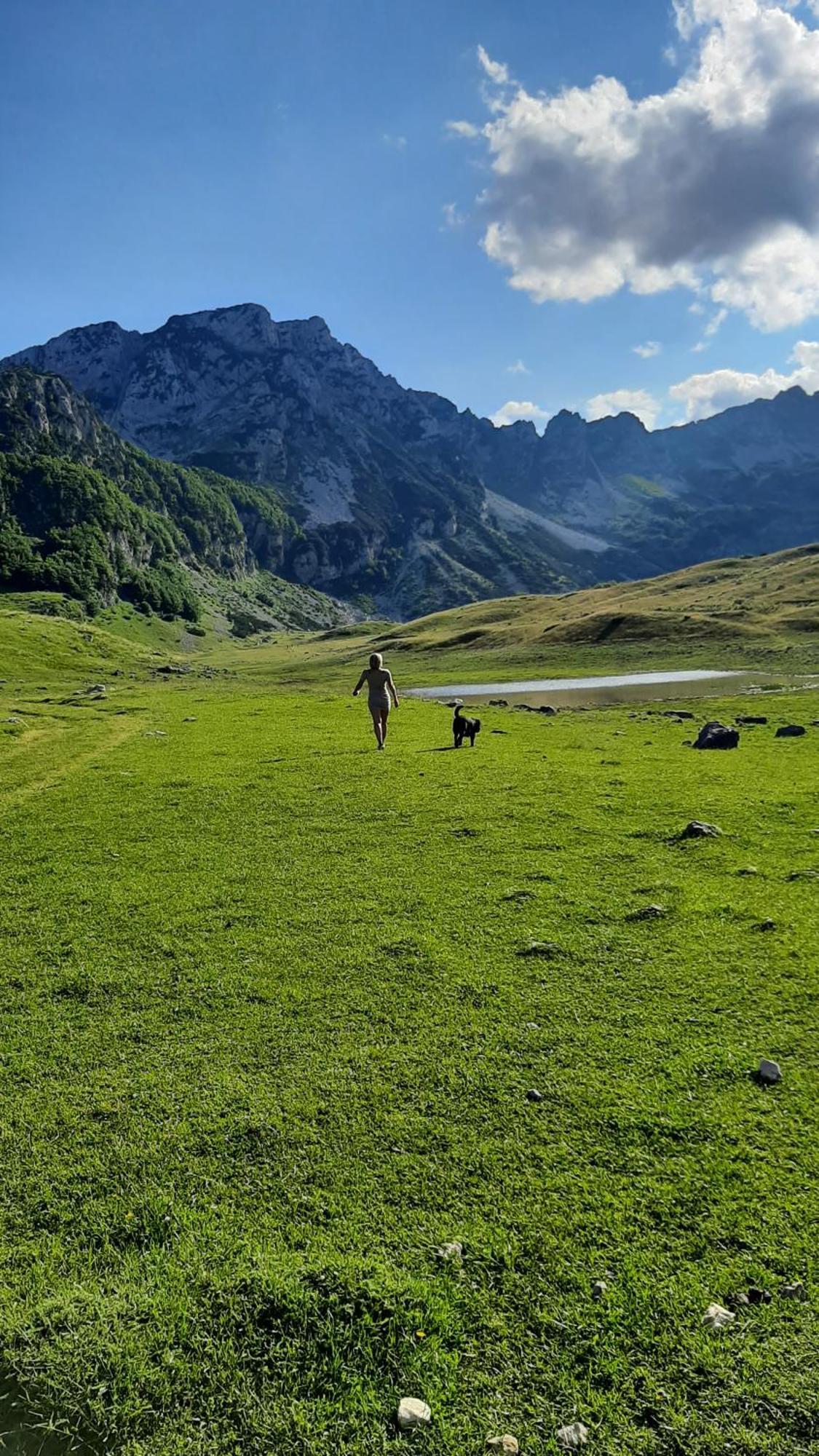 Apartments Durmitor Žabljak Екстериор снимка