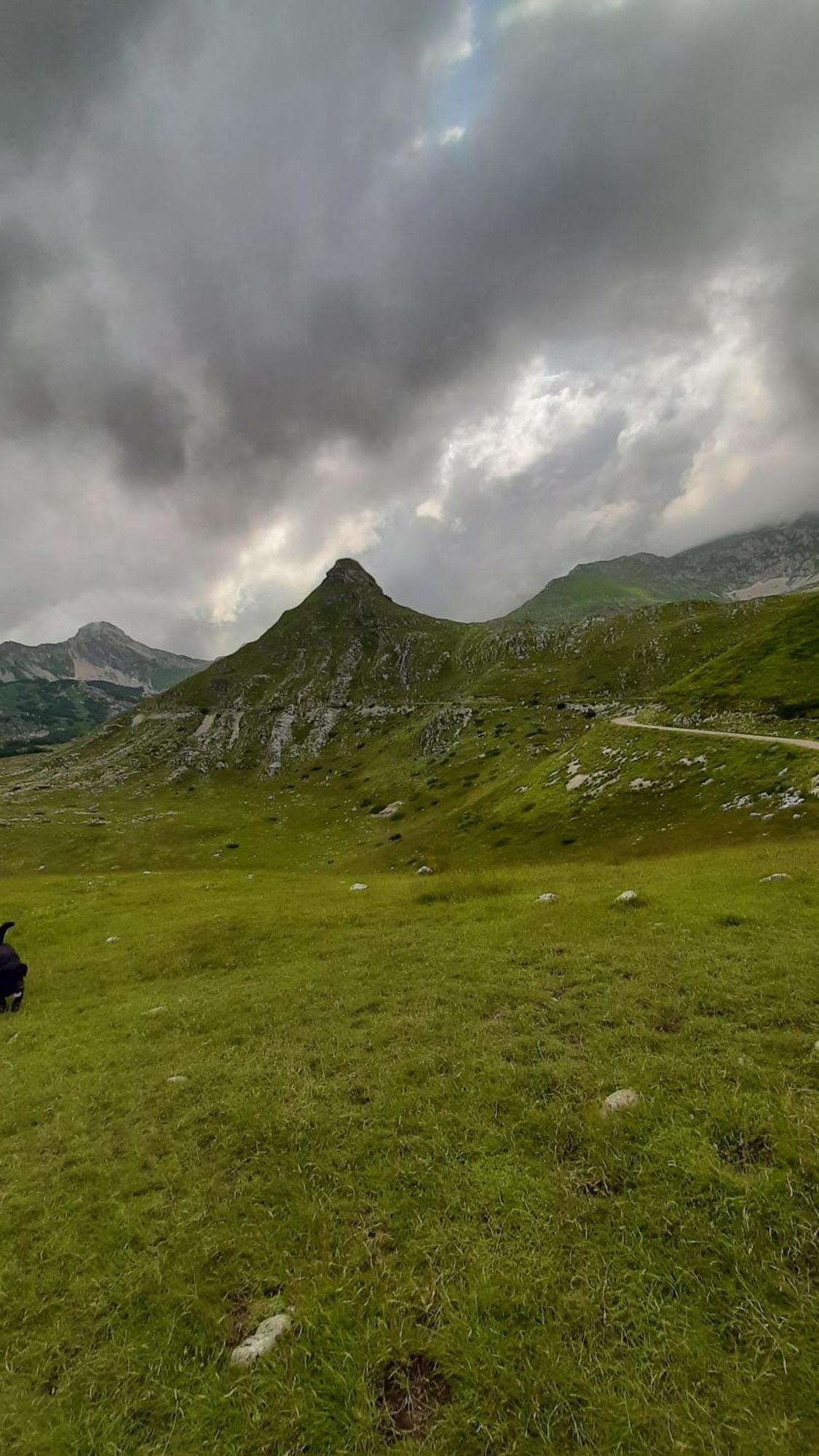 Apartments Durmitor Žabljak Екстериор снимка