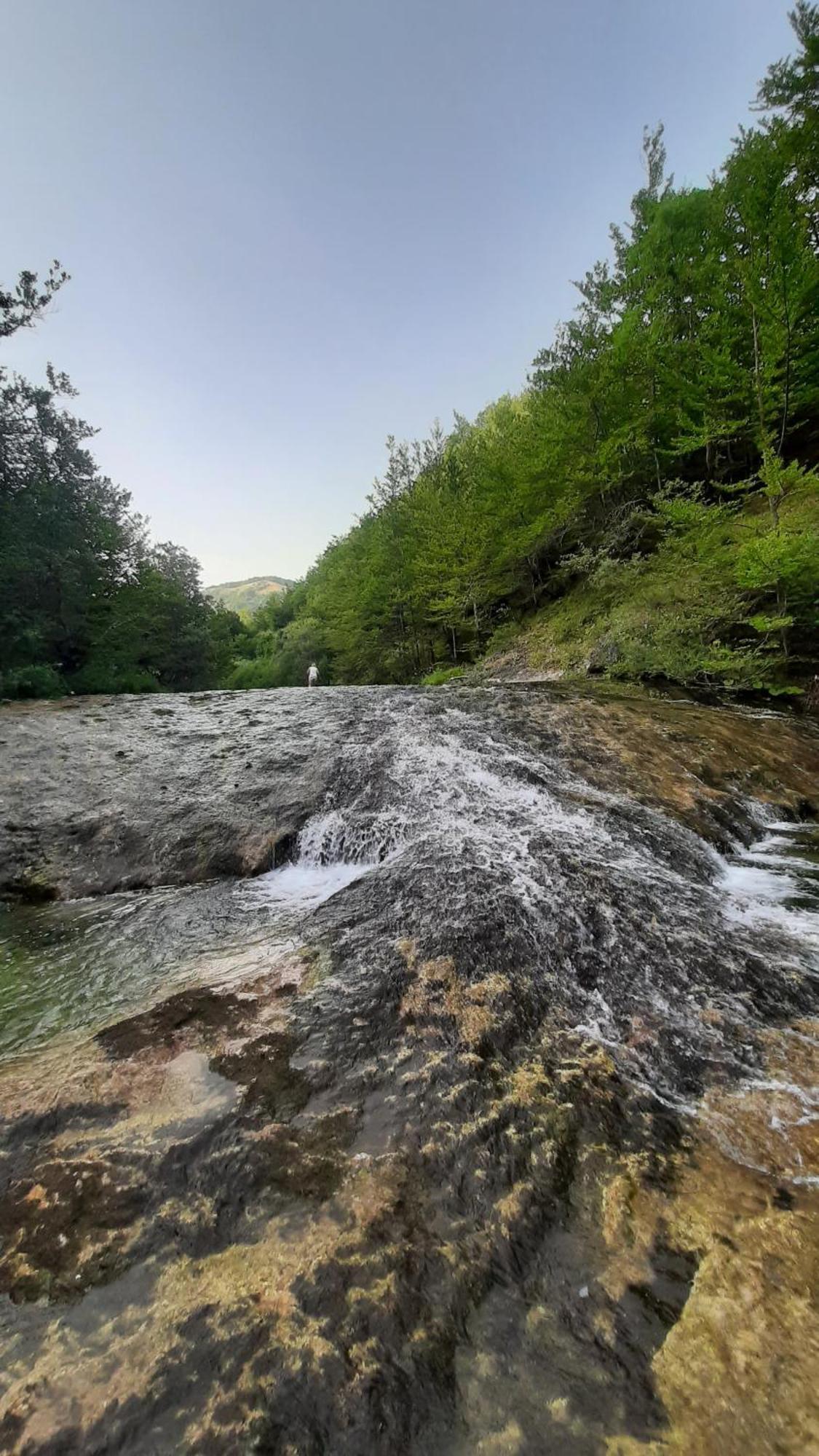 Apartments Durmitor Žabljak Екстериор снимка
