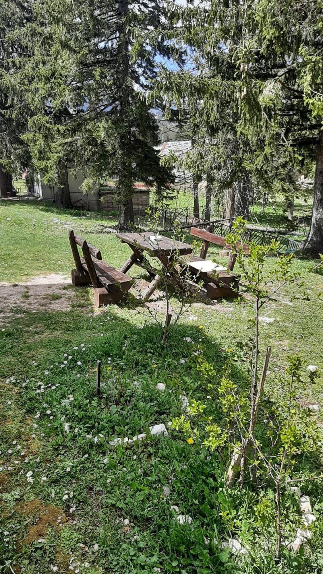 Apartments Durmitor Žabljak Екстериор снимка